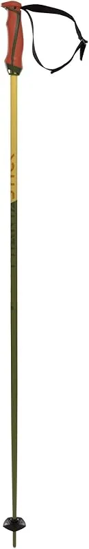 Volkl - Batons De Ski Phantastick 16mm Green Vert Homme - Homme - Vert — Equipement ski